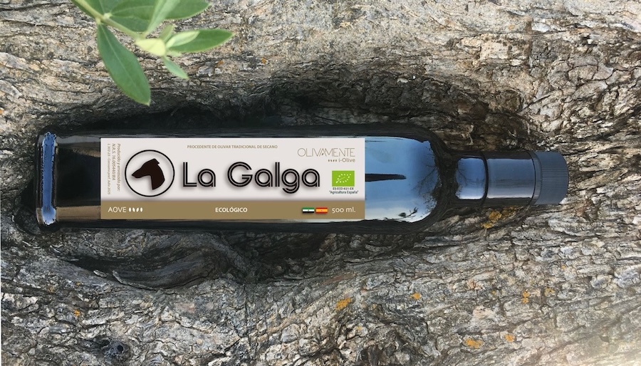 Garrafa de 5 litros de AOVE La Galga sobre suelo de finca