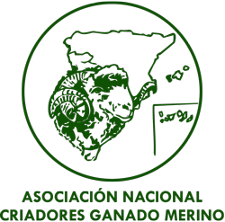 Asociación Nacional de Criadores de Ganado Merino de España