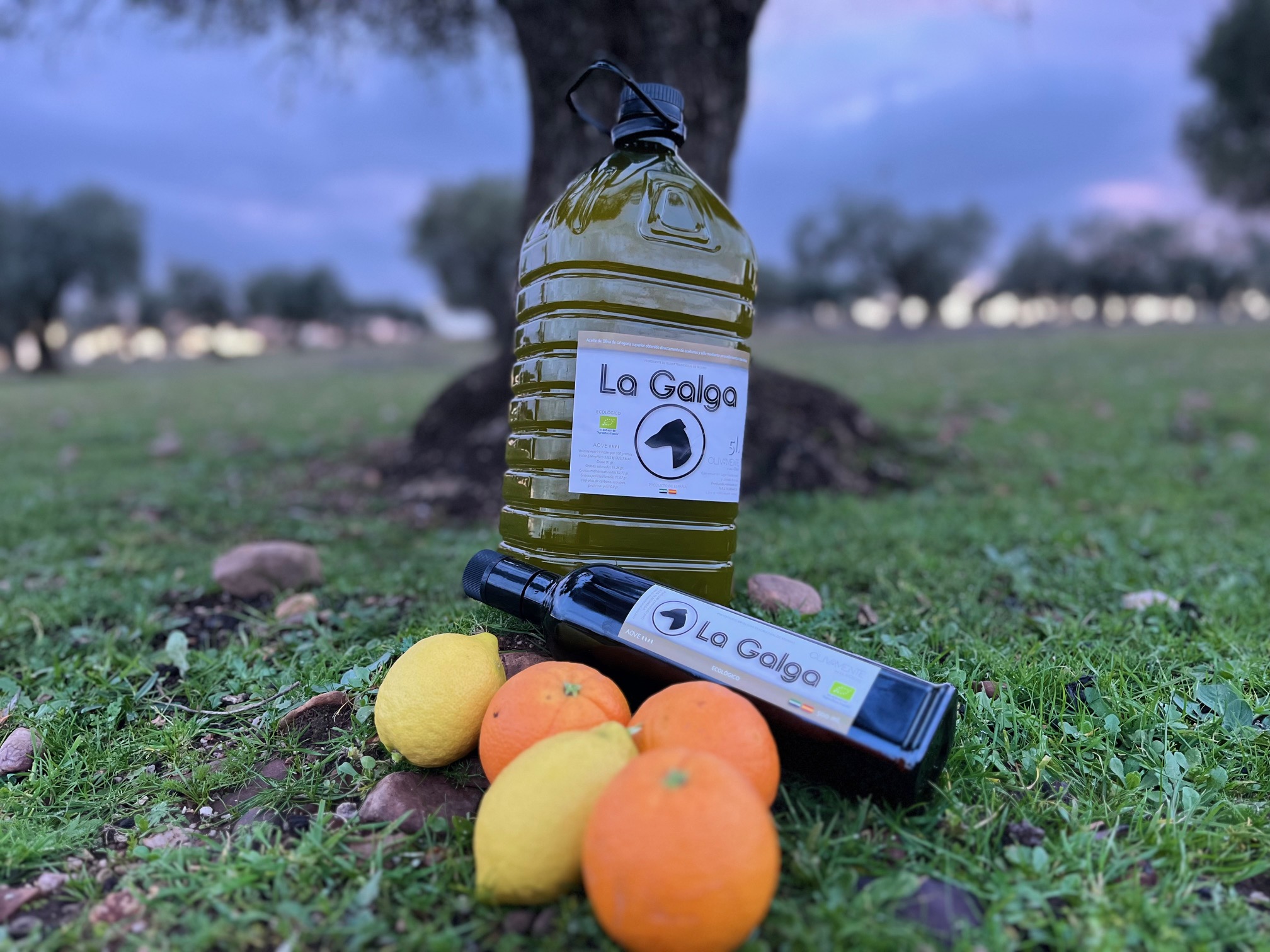 Botella de 500 ml